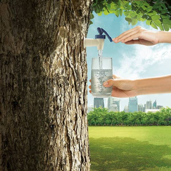 Photograph Ully Zoelkarnain  A Tree For Water on One Eyeland